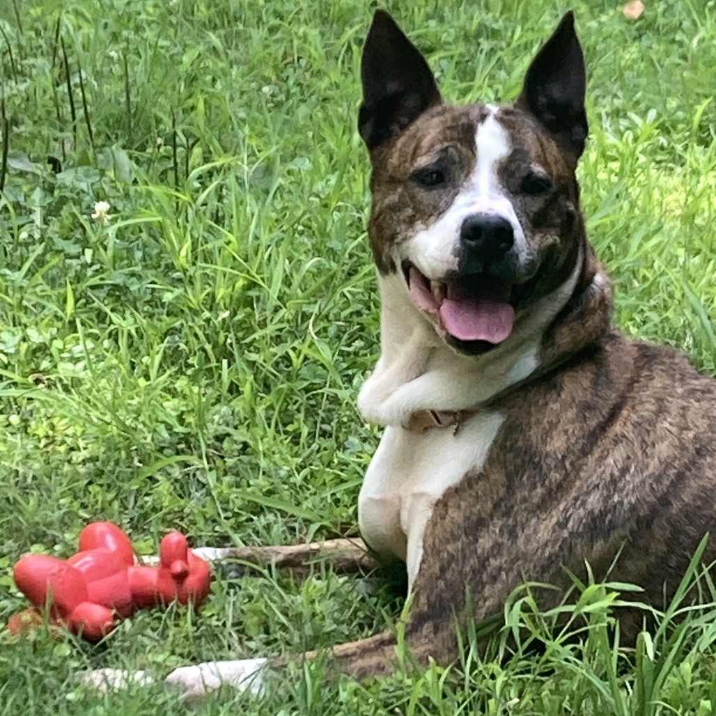 Eloise — thumbnail 4