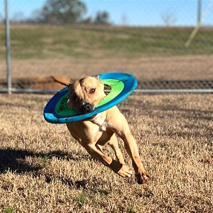 Peggy Schuyler — thumbnail 8