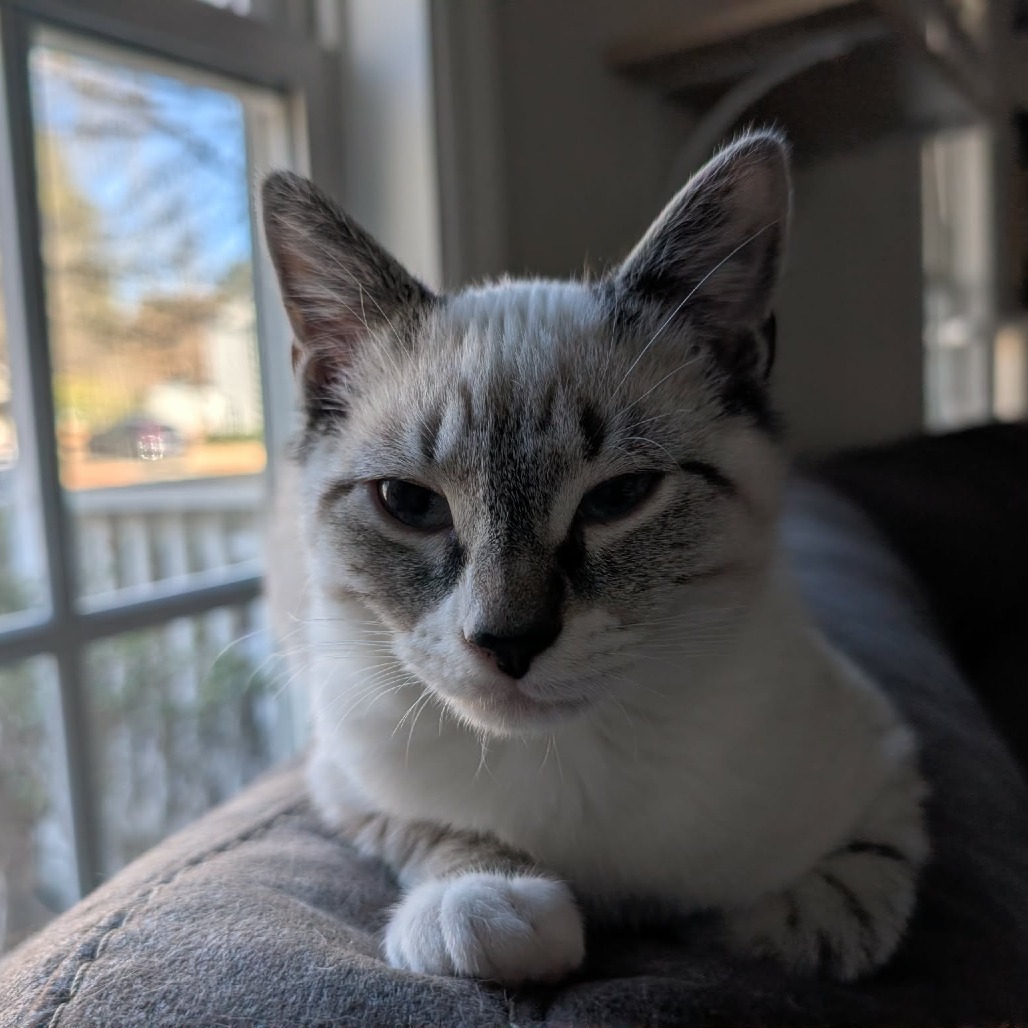 Tinsel — thumbnail 3