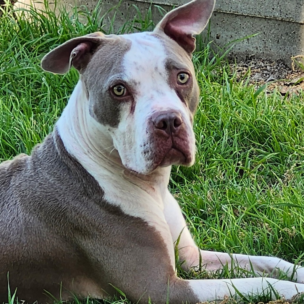 Photo of Mia (Sheila)