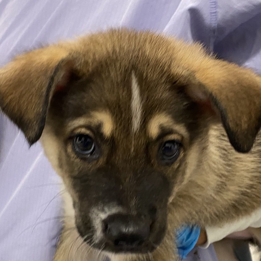 Stefan — thumbnail 2