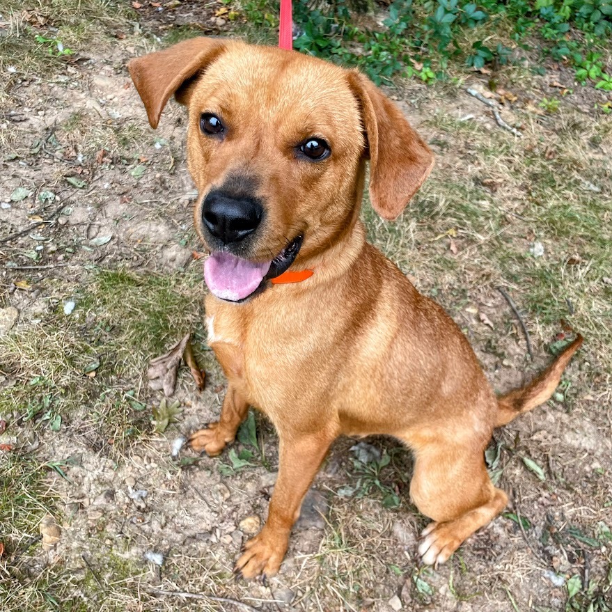 Darla — thumbnail 5