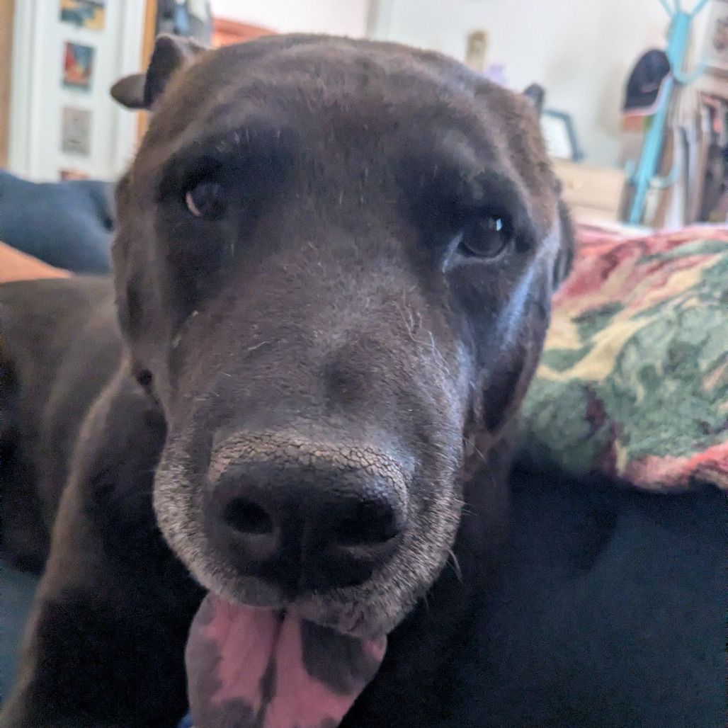 Zuzu, photo 11