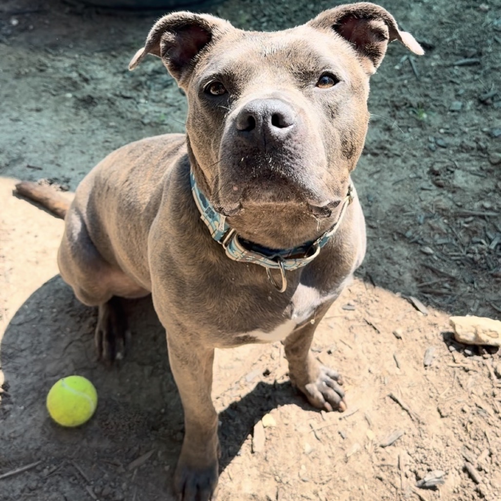 NALA BELL, photo 14