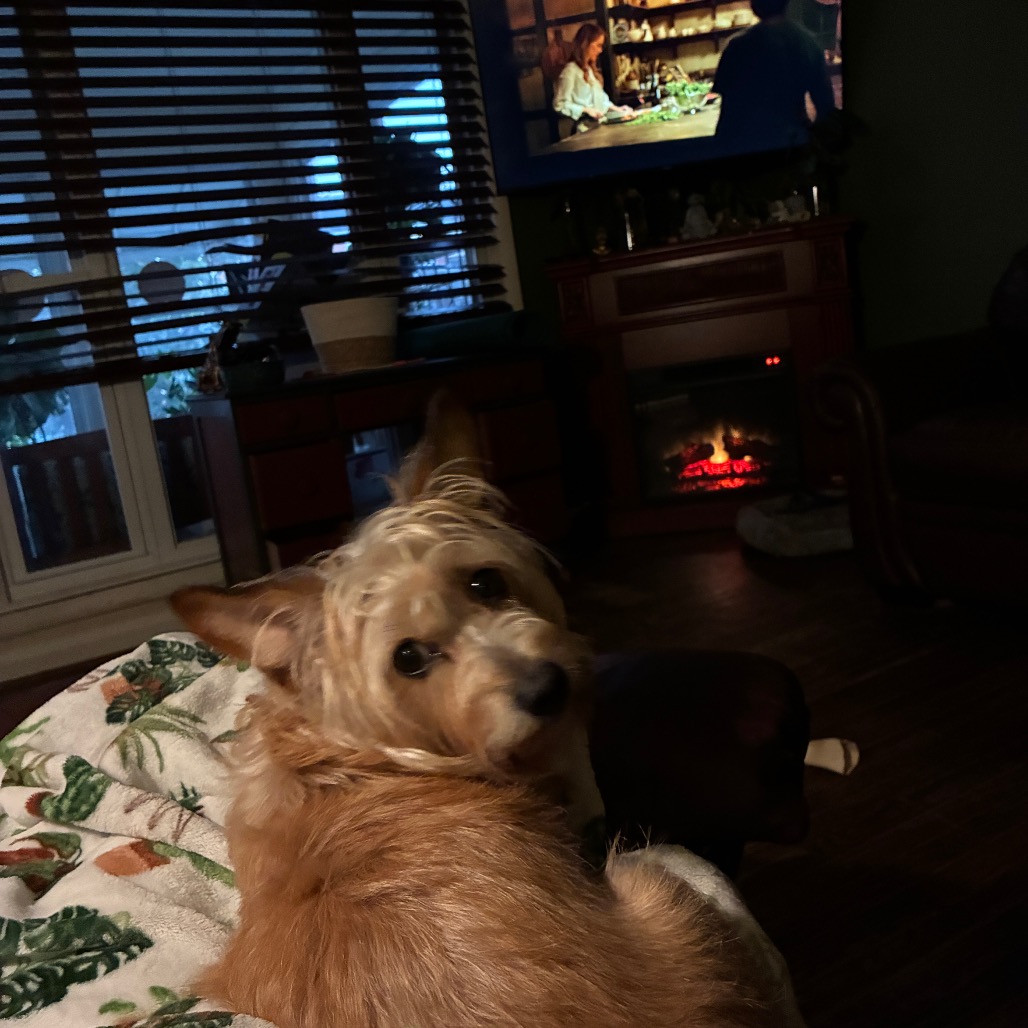 Maggie, photo 4