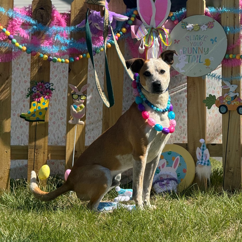 Buster, photo 12