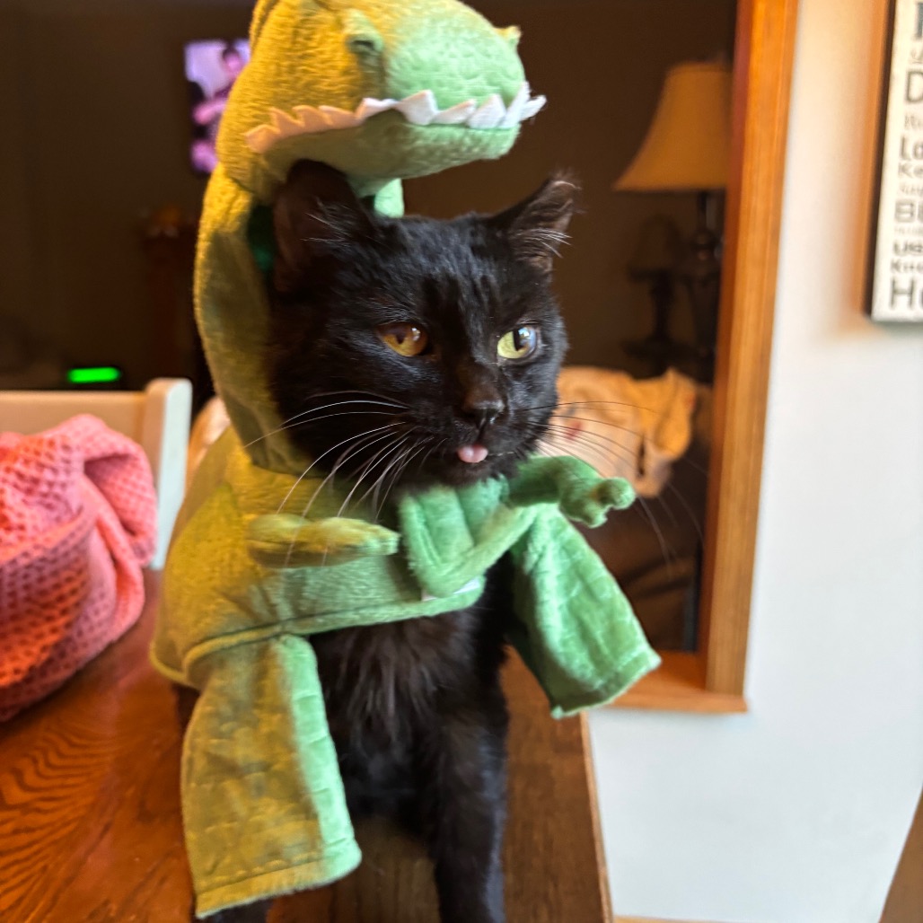 Squiggles -I'm in a foster home, Call to meet with me!