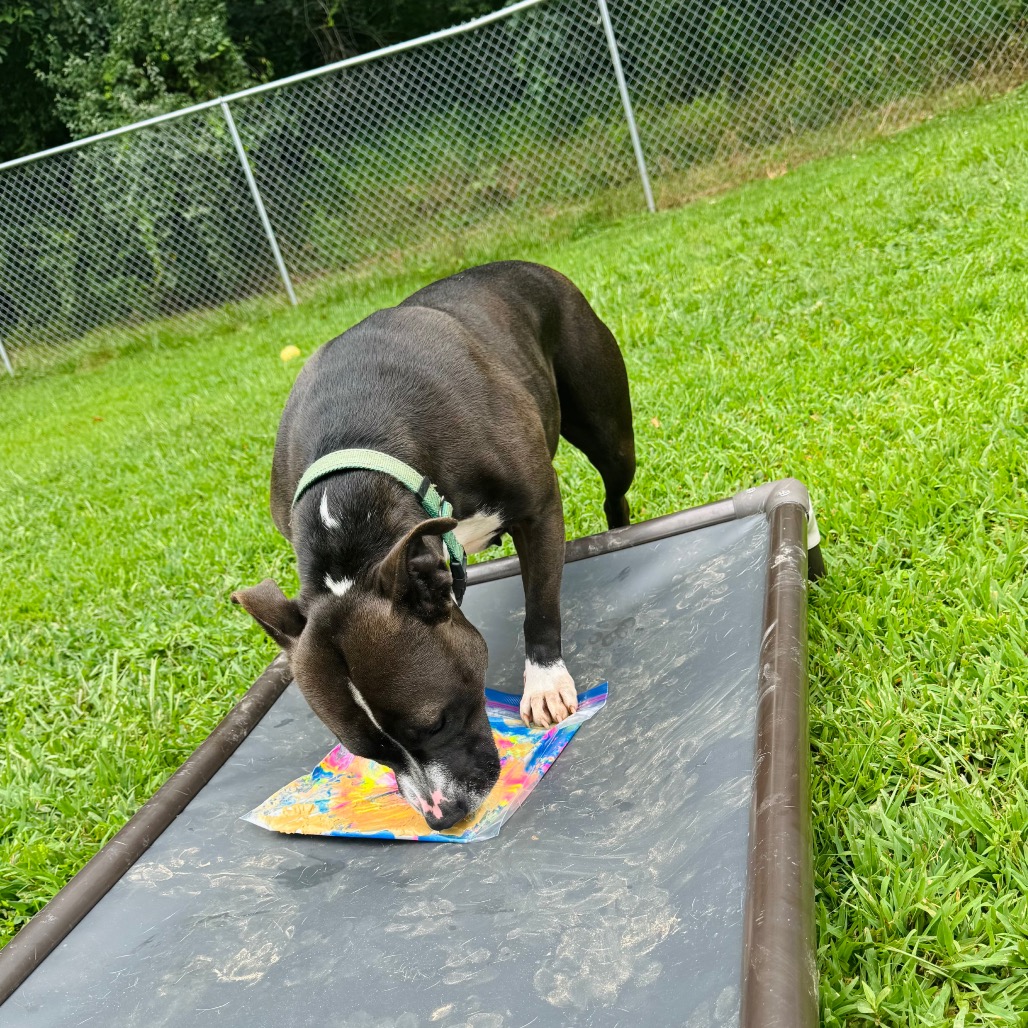 Wednesday, photo 19