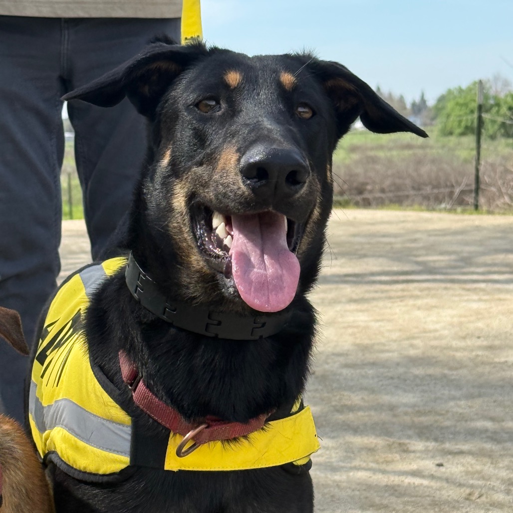 Felix, photo 20