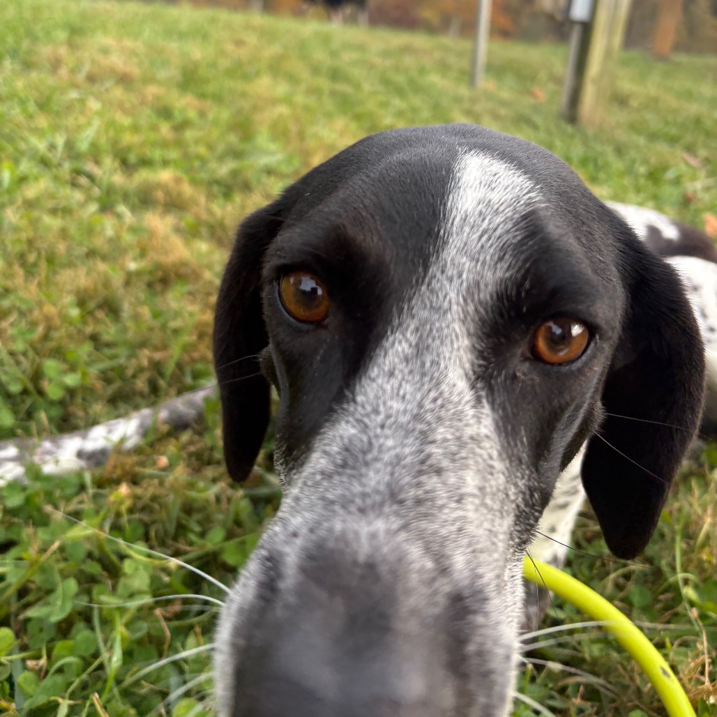 Asher, photo 5