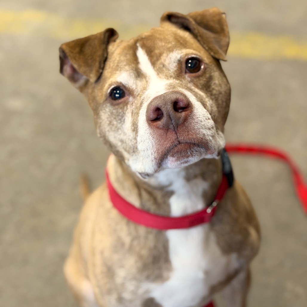 Bruce — thumbnail 4