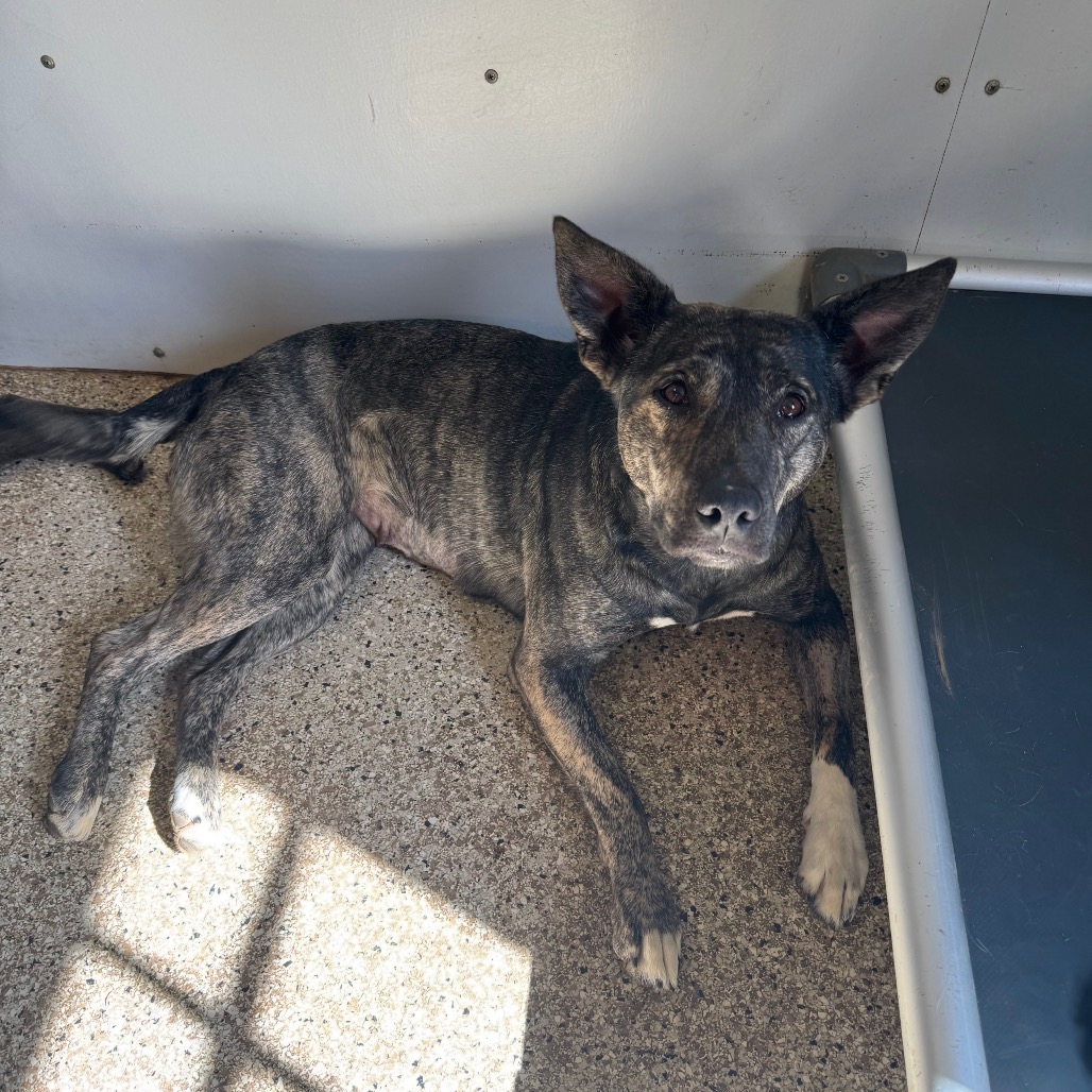 Evey — thumbnail 3