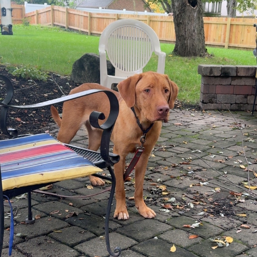 Butter, photo 8