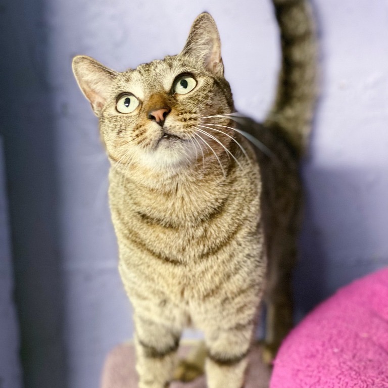 Another portrait of Roger