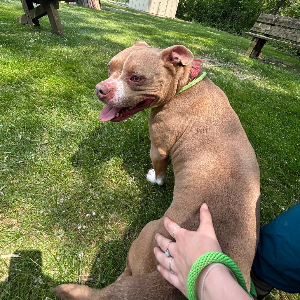 Buddha-Foster — thumbnail 4