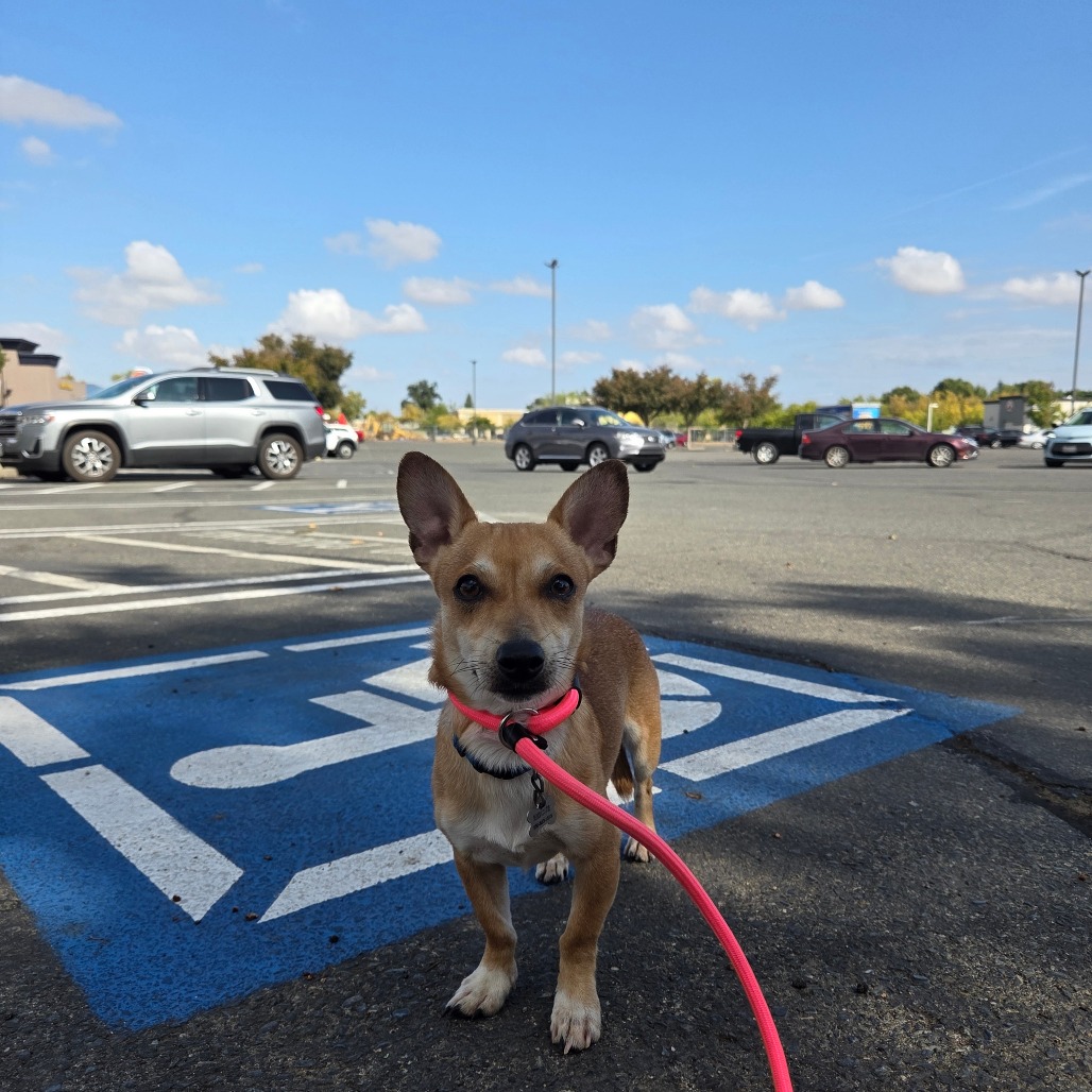 ITTY BITTY — thumbnail 3