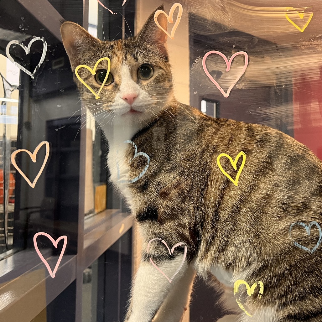 Photo of Canberra and Havana 9