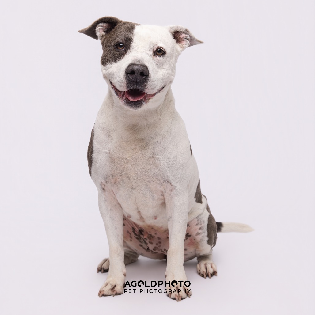 Bailey 3 — thumbnail 3