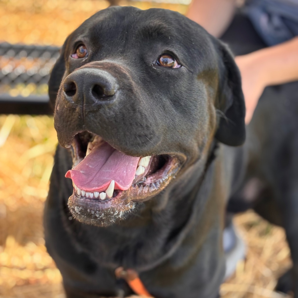 a3a7ed61679cf7717b178eca4898e61f