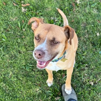 KASHA, photo 36