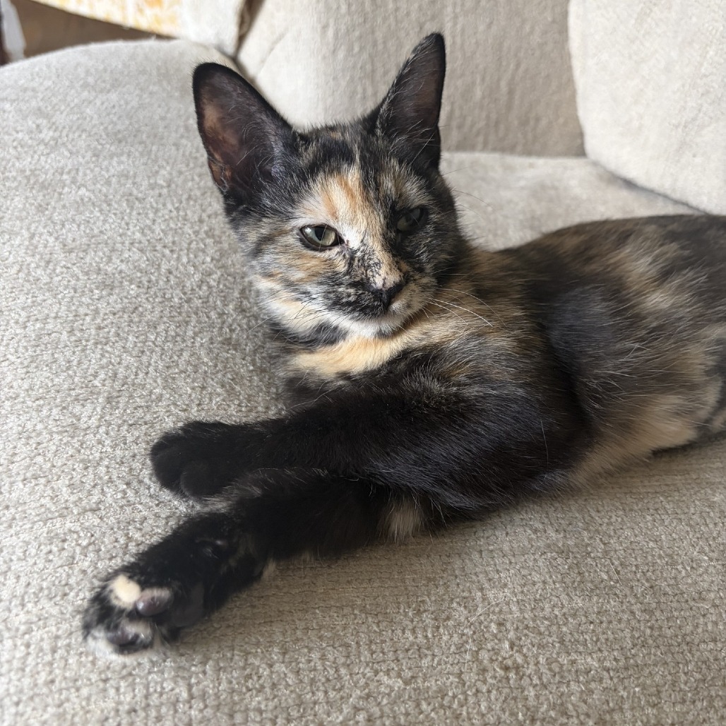 Esme