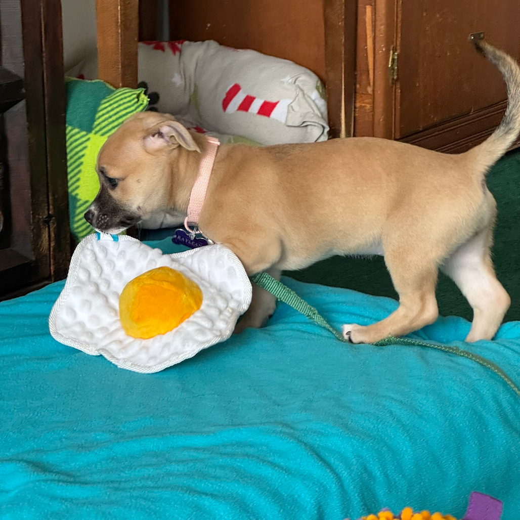 Raylean — thumbnail 5