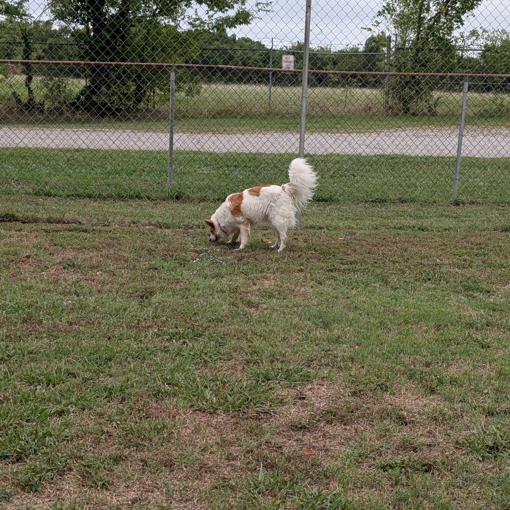 Sandy photo 20