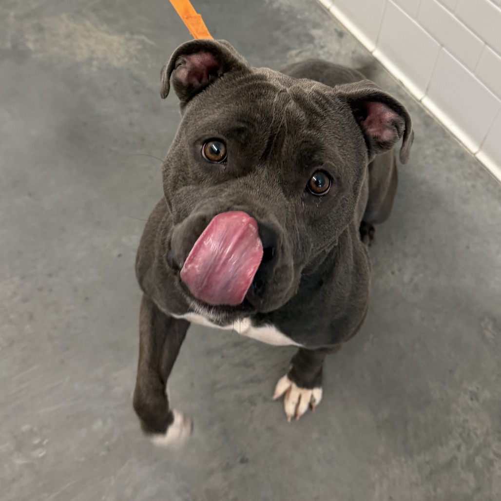Photo of Ember 3