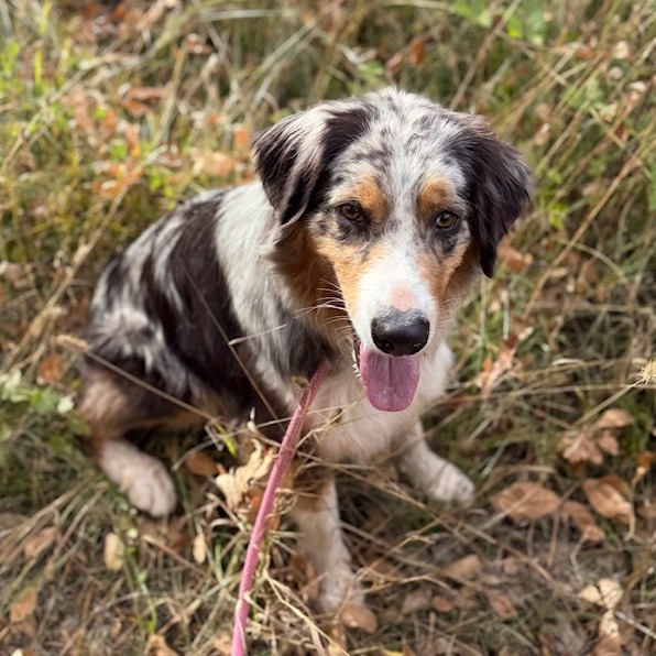 LEVI, photo 20