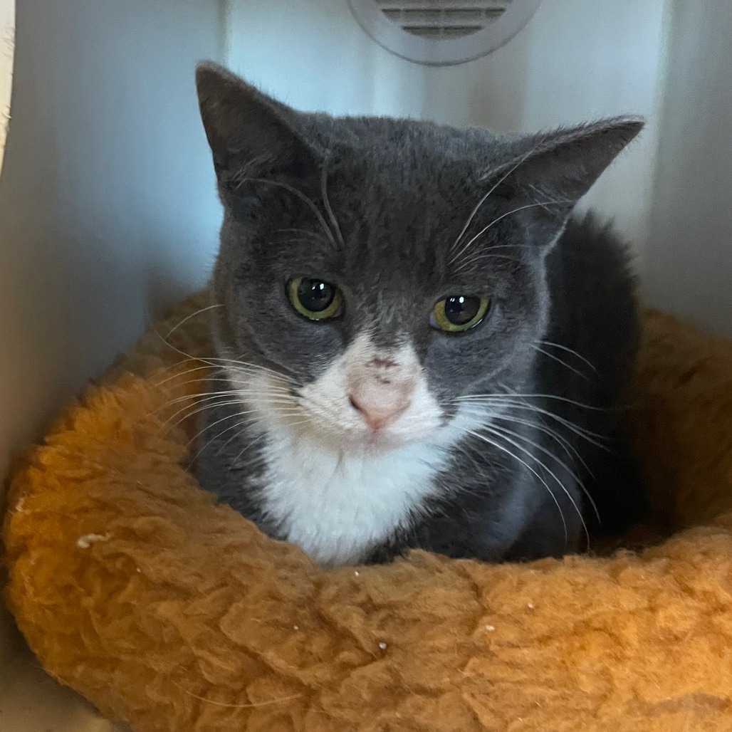 Crunch — thumbnail 2