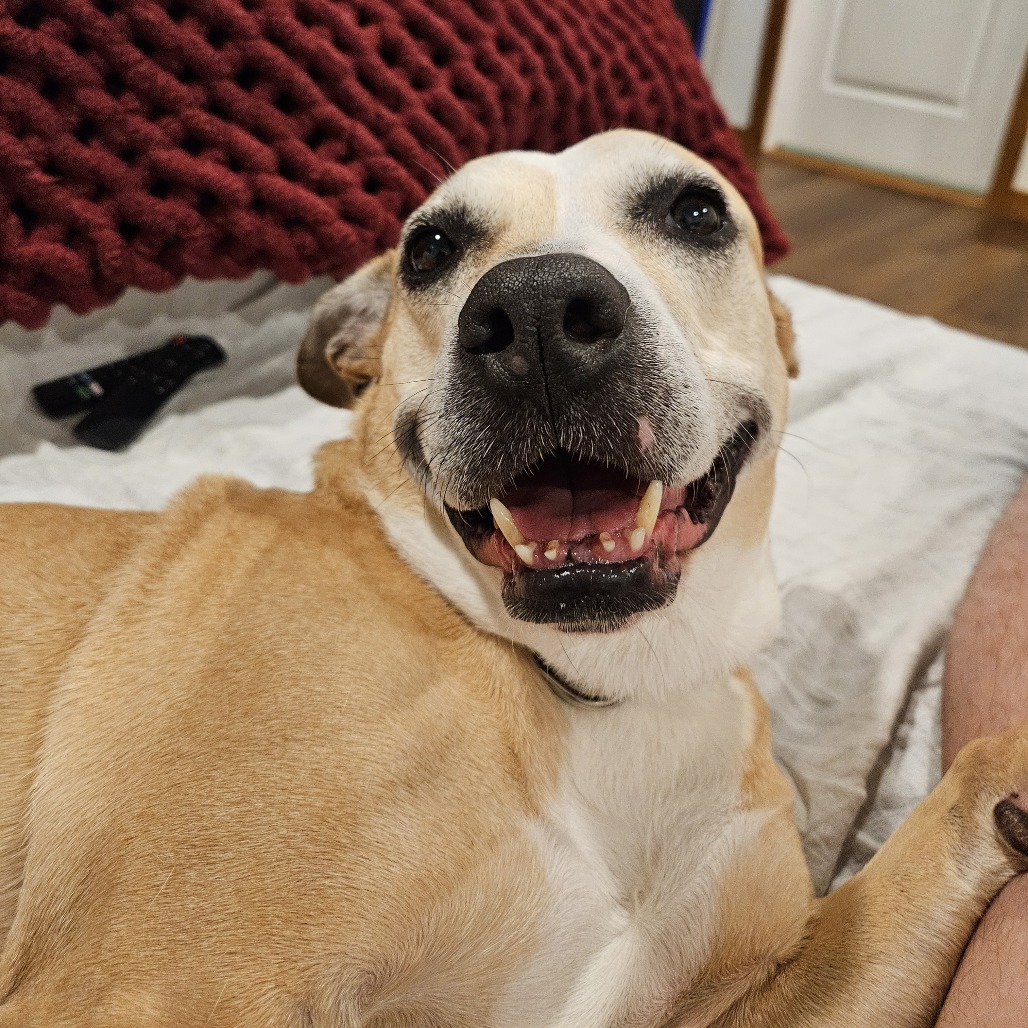 Libby, photo 17