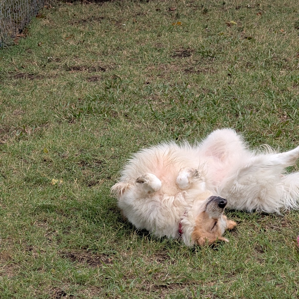 Sandy photo 33
