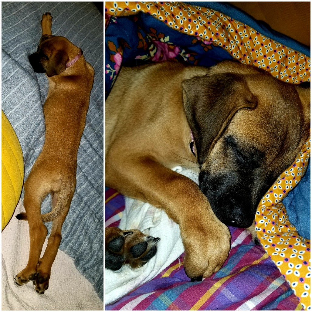 ELISE — thumbnail 9