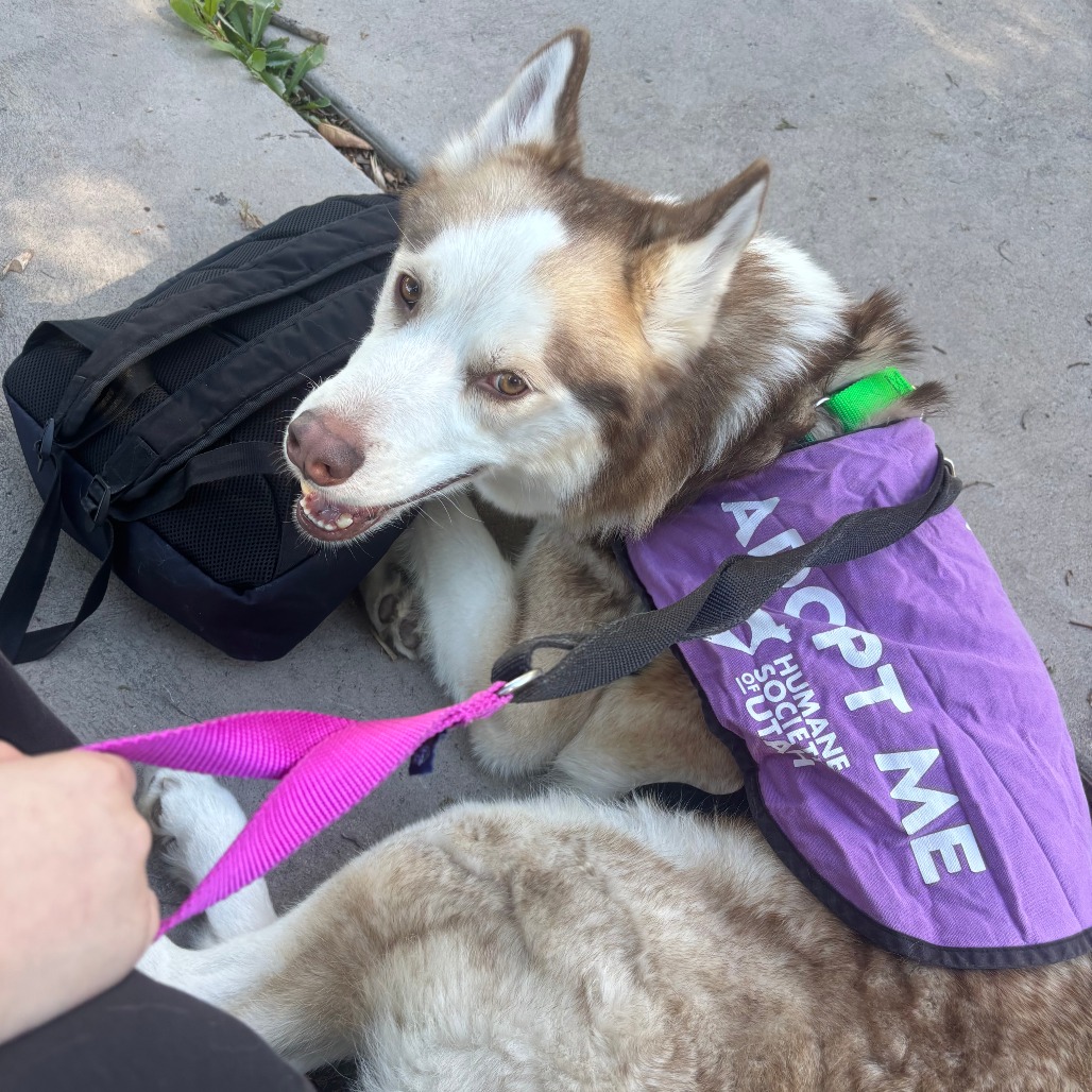 Ragnar, photo 3