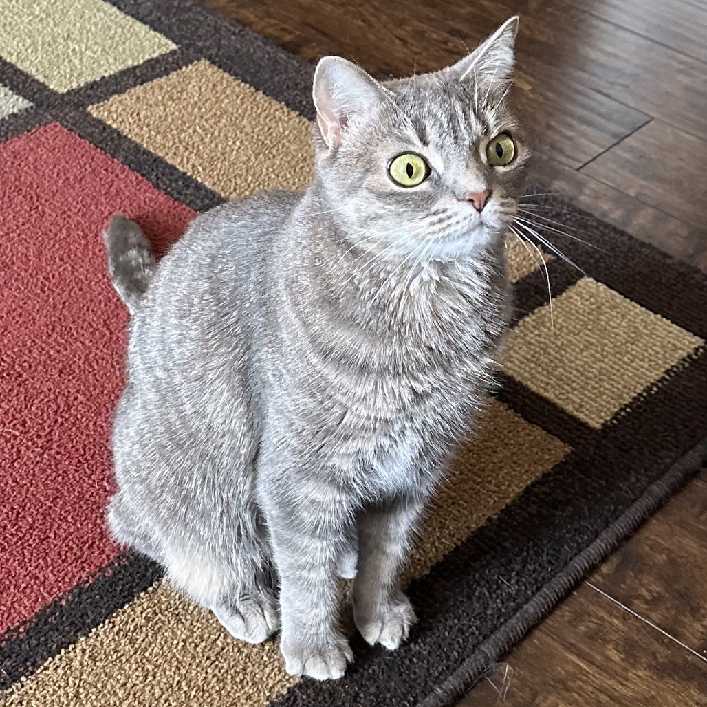 Lizzie, photo 2