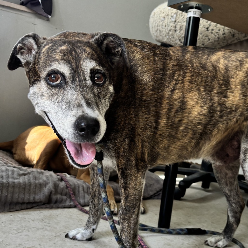 Fred, additional photo