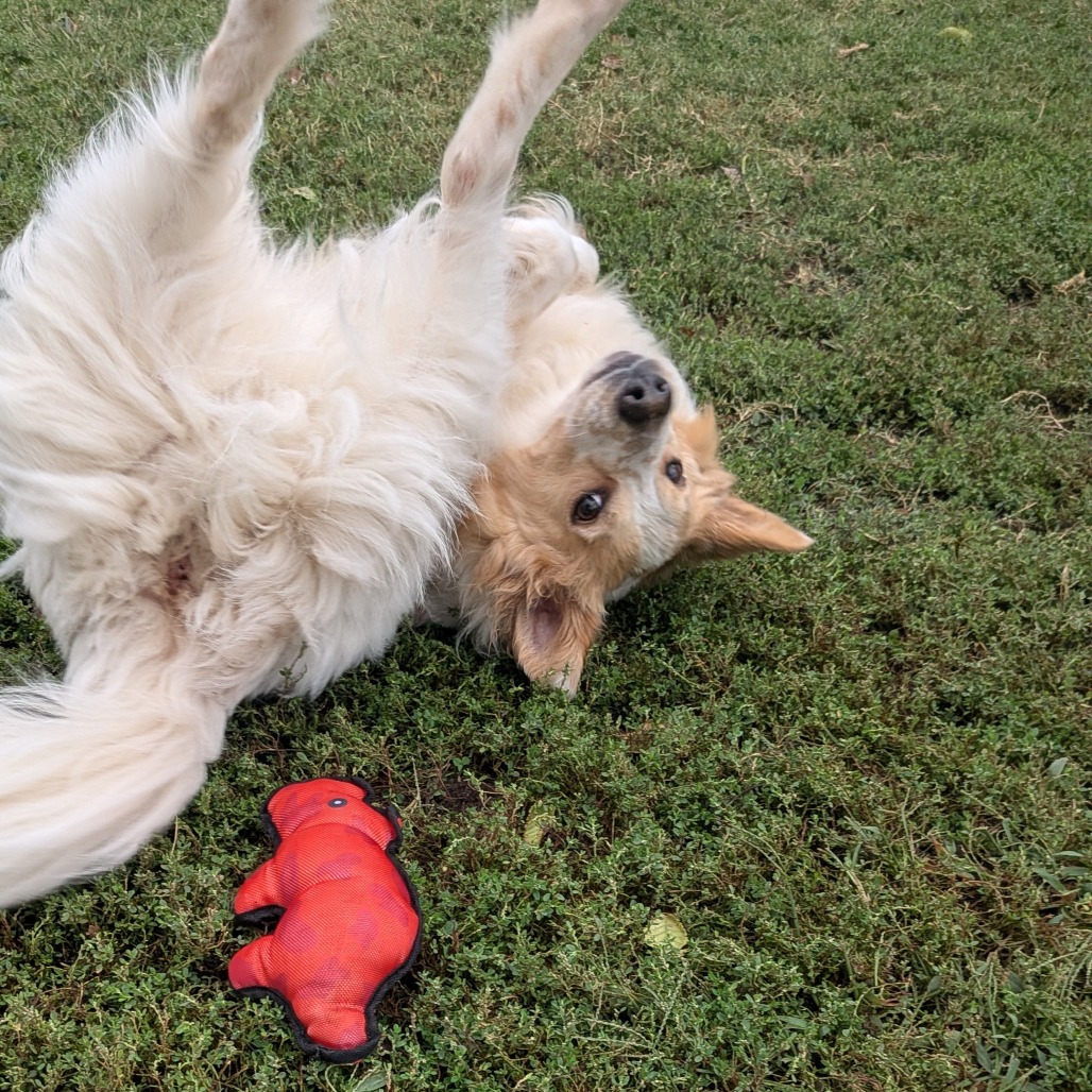 Sandy photo 10