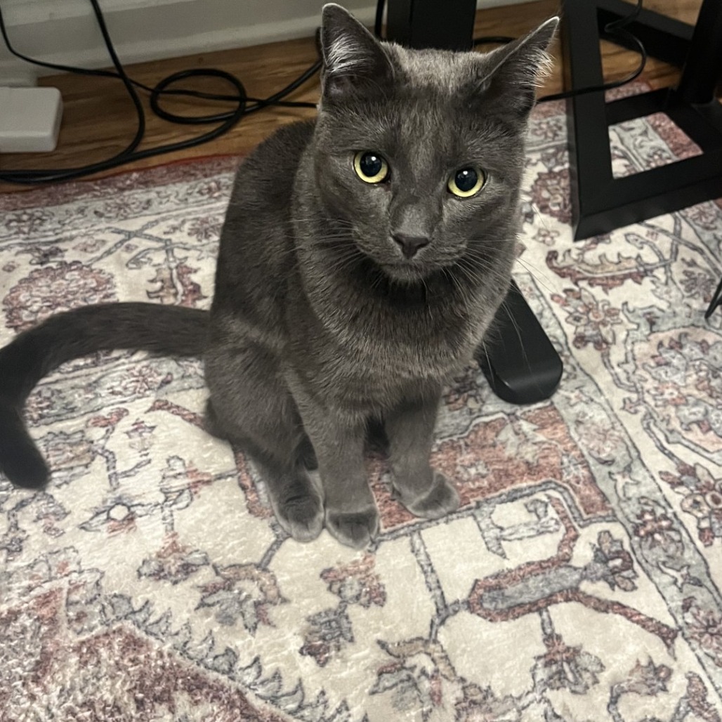 Diego