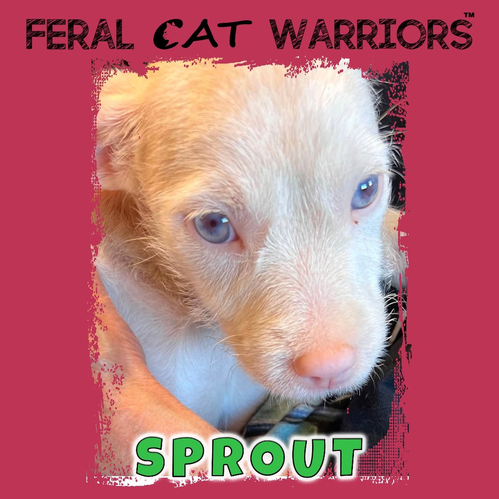 Sprout