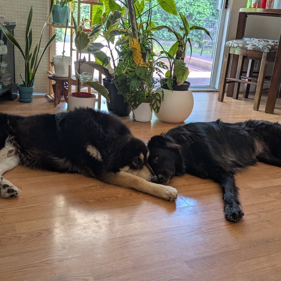 RUFUS, photo 7