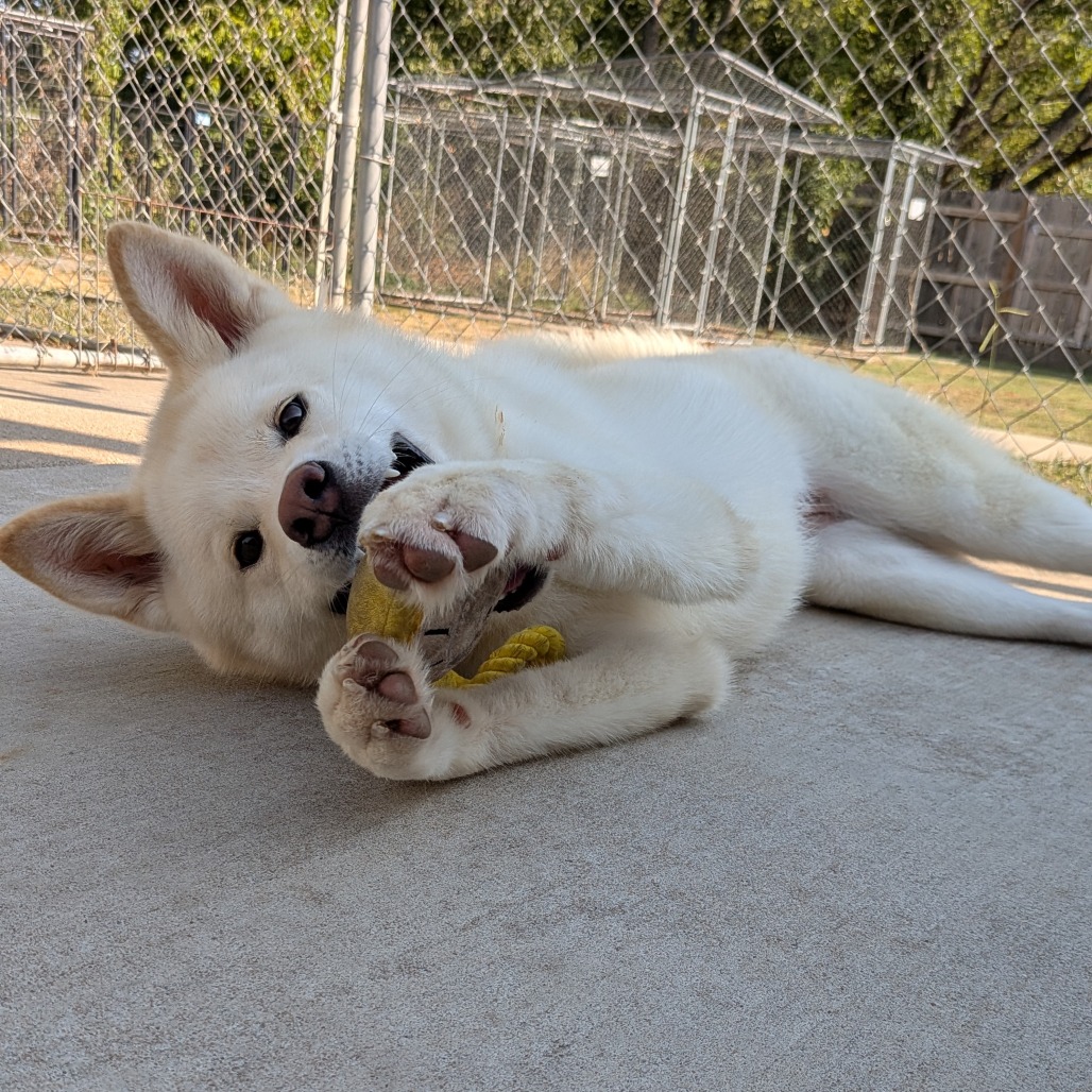 Maggie photo 8