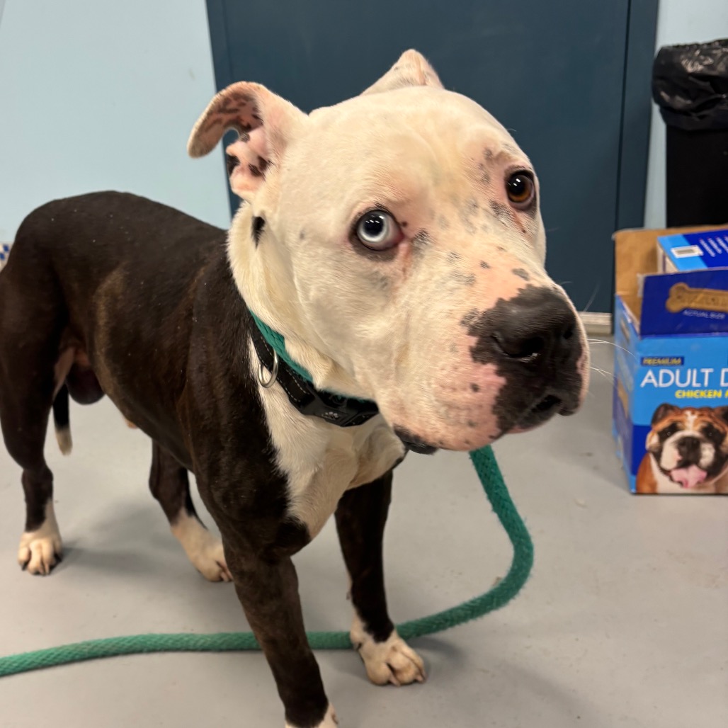 Carter Woolums — thumbnail 4