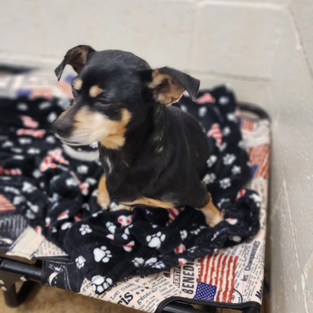 Franco — thumbnail 2