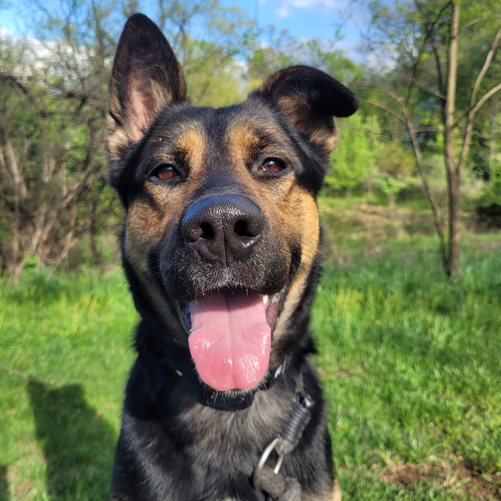 a3529a689ea21de6a4a94fd52dc7d32b