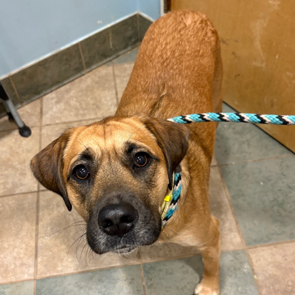 Merry — thumbnail 2