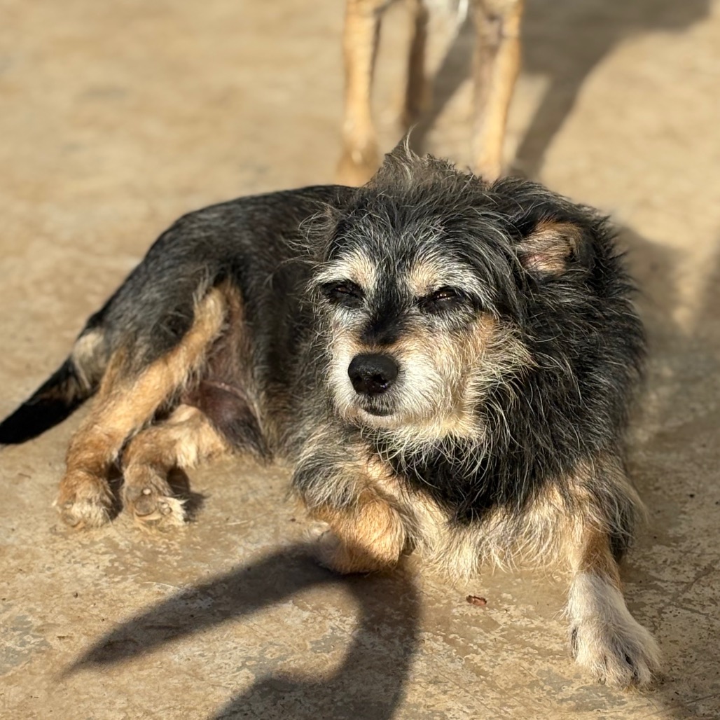 Ronny Roo — thumbnail 3