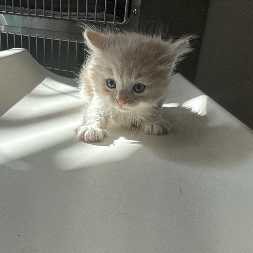 Cloudy — thumbnail 2