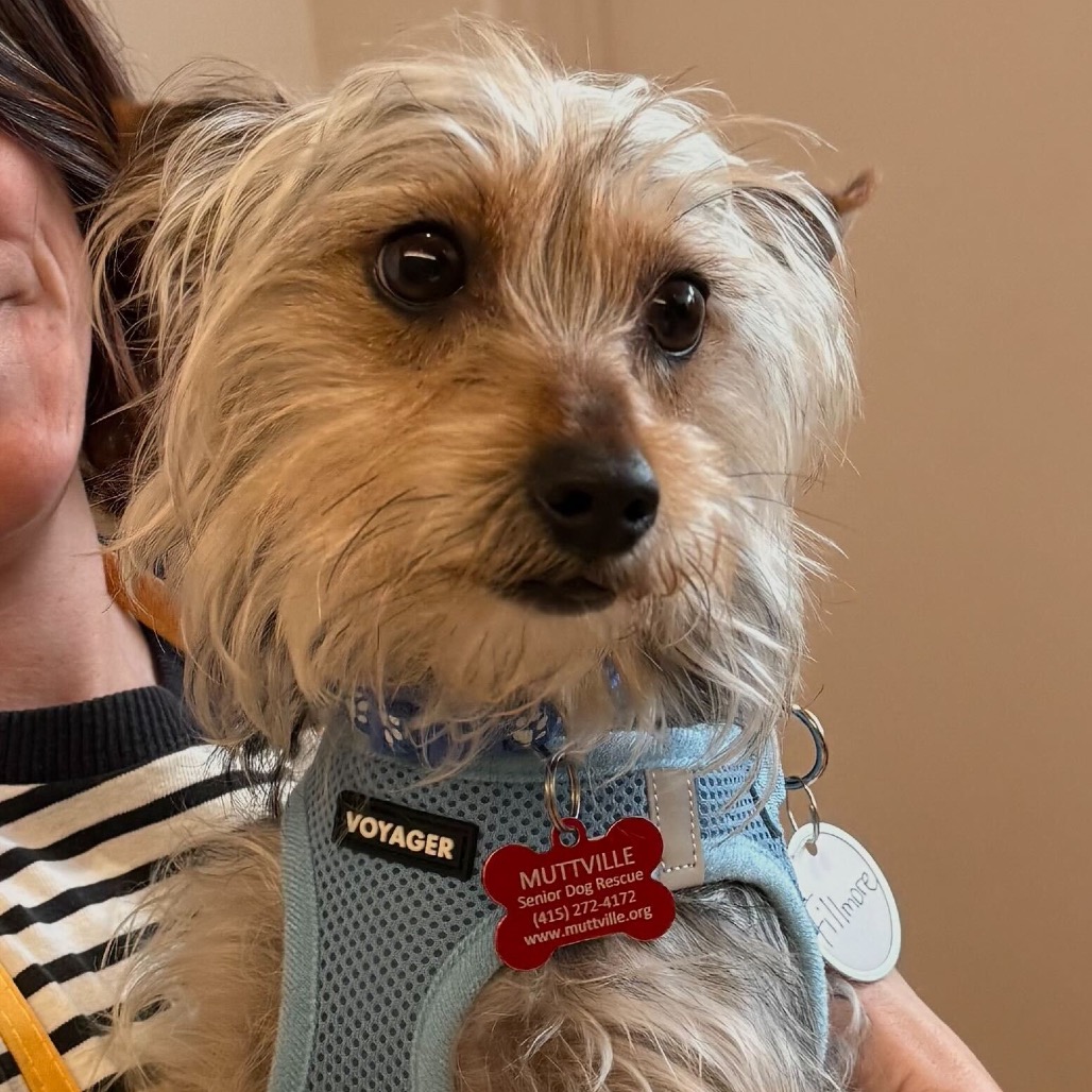 Fillmore 13764 — thumbnail 2