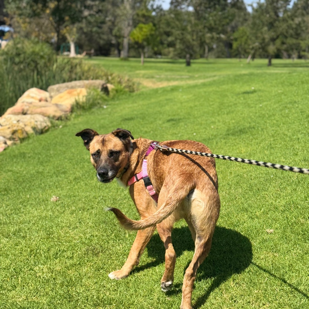 Bubz, photo 18