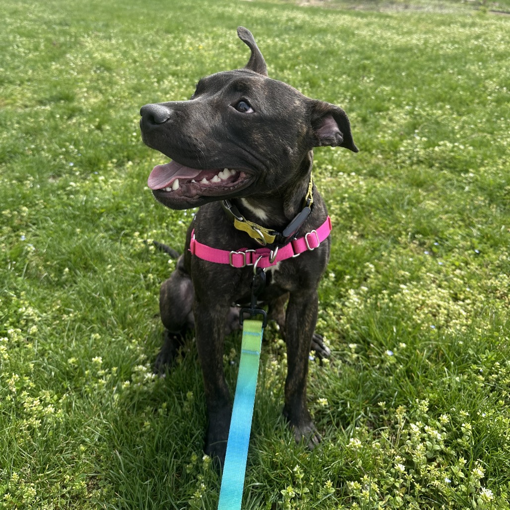 Photo of Root Beer 8